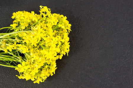 A bouquet of flowers of rapeseedの写真素材