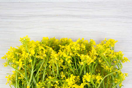 A bouquet of flowers of rapeseedの写真素材