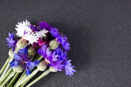 Bouquet of cornflowers. The view from the top.の写真素材