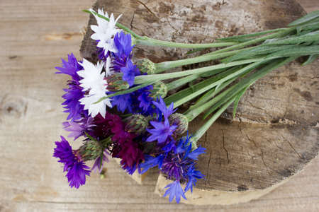 Bouquet of cornflowers. The view from the top.の写真素材