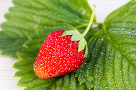 Strawberries on a wooden tableの写真素材