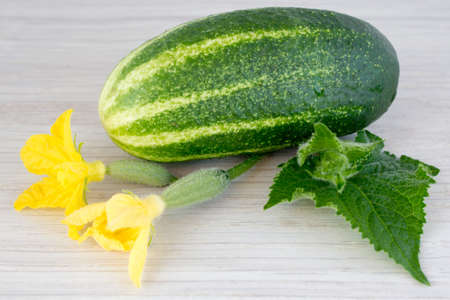 Cucumbers, leaves and flowers on a wooden tableの写真素材