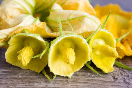 Yellow flowers of zucchini on a wooden tableの写真素材
