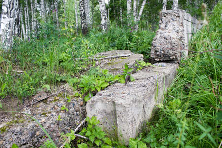 Old concrete blocks in a summer forestの写真素材