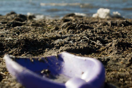 The scoop on sandの写真素材