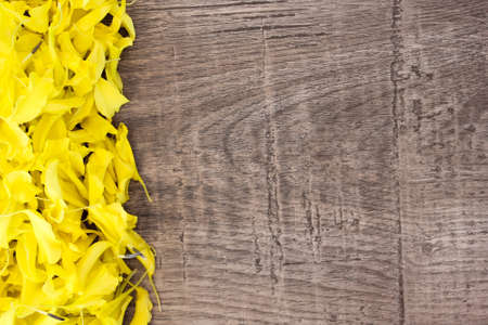 Yellow petals zinnia on woodenの写真素材