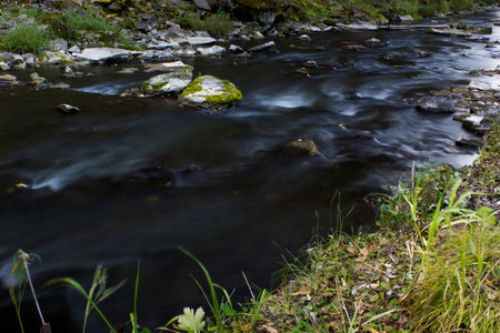 River in the forest with stones. Silk water.