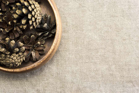A few pine cones on burlapの写真素材