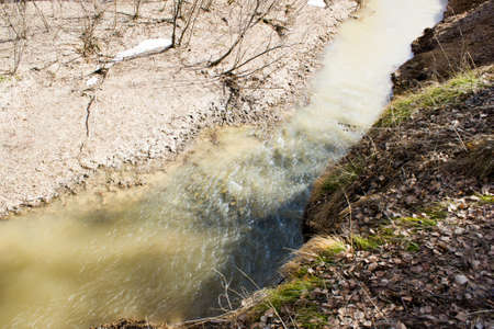 Spring brook in a birch forestの写真素材