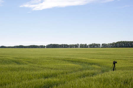 The camera on the tripod in a green fieldの写真素材