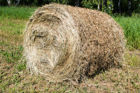 Hay roll on a summer day