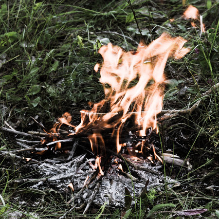 The flames of the fire in the grass. Wildfire. Summer picnic, barbecue.