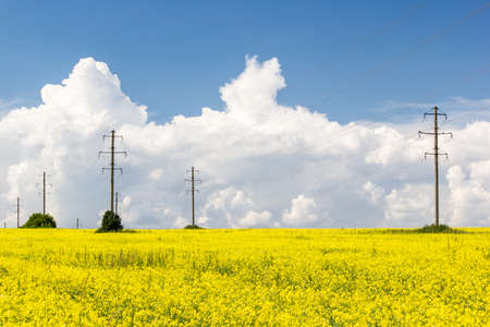 Pole lines on a background of clouds and blue skyの写真素材
