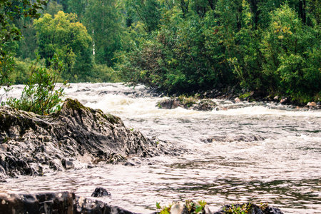 Mountain river with green plants on the shore