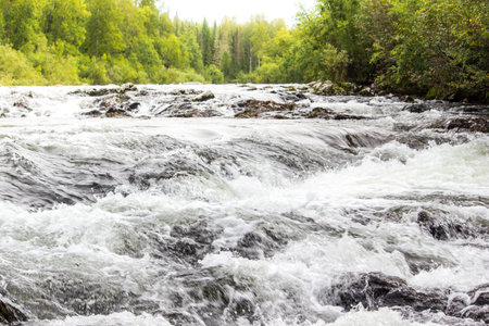 Mountain river with green plants on the shoreの写真素材