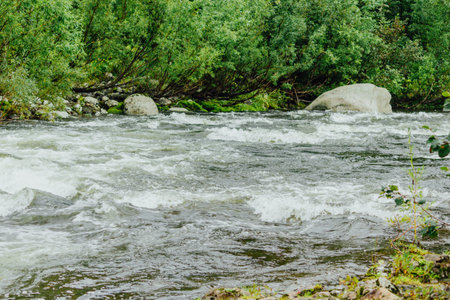 Mountain river with green plants on the shore
