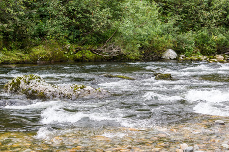 Fast mountain river with stones and trees on the shore
