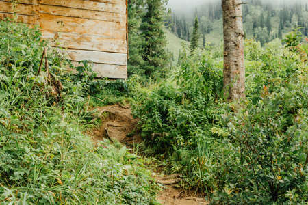 The mountain path to the tree houseの写真素材