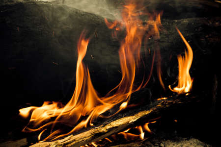 A large forest fire burns in the woodsの写真素材