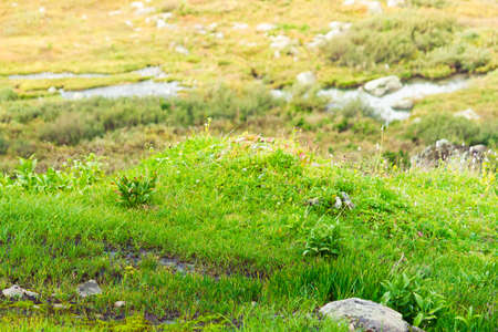 Green meadow in a mountainous area on a summer dayの写真素材