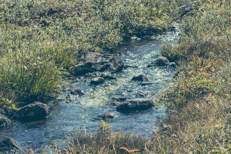 Fast mountain river in rapid flow in the green forestの写真素材