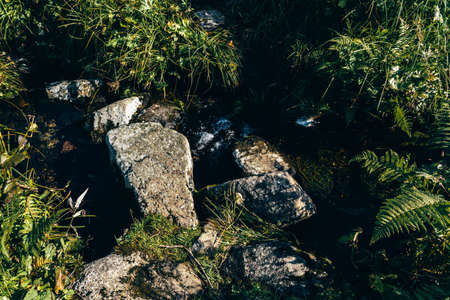 Mountain stream, a spring on the rocks on a summer dayの写真素材