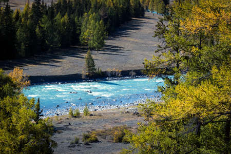 Blue river in the autumn forest on a Sunny day. Autumn day trip in the mountains.の写真素材