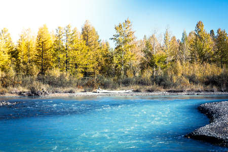 Blue river in the autumn forest on a Sunny day. Autumn day trip in the mountains.の写真素材