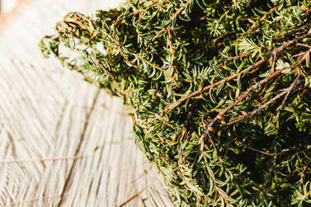 Branch of juniper on the stump, cut section of a tree