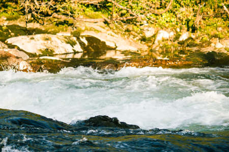Fast mountain river in rapid flow in the green forestの写真素材
