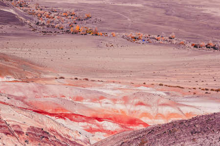 Colorful red rocks on a Sunny day. Beautiful view of the mountains of the Kyzyl-Chin, Altai. The Martian landscape of the canyon.の写真素材