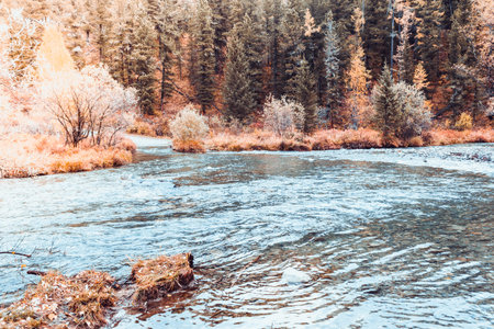 View of the wide mountain river, the mouth of the river. Trip on the river in the autumn.