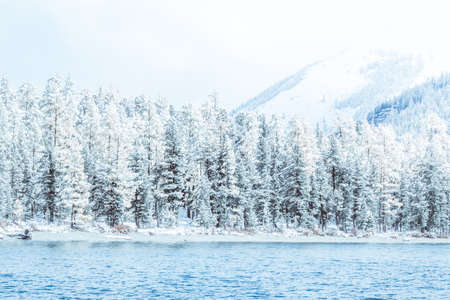 Winter mountain lake with snow-covered pine trees on the shore. Frosty weather, fog over the winter lake, a sharp decrease in temperature. A number of snow-covered trees on the river.の写真素材