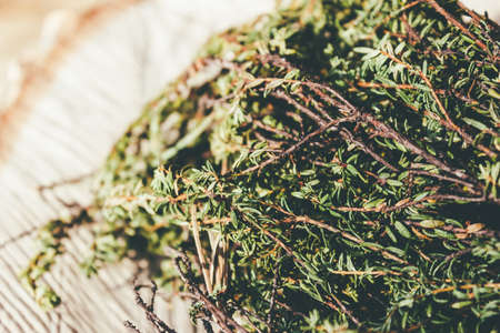 Branch of juniper on the stump, cut section of a treeの写真素材