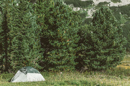 Green tourist tent in a pine forest in a mountain valley. Travel to the mountains on foot, wildlife.の写真素材