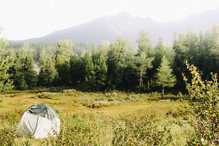Green tourist tent in a pine forest in a mountain valley. Travel to the mountains on foot, wildlife.の写真素材