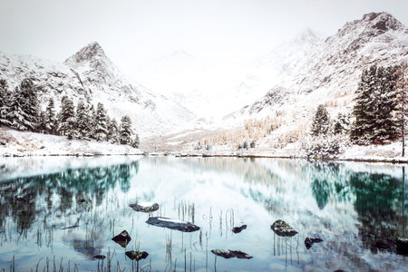 Turquoise surface of the mountain lake. Winter fabulous forest lake. Snow rocks and coniferous...
