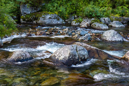 Fast mountain river in rapid flow in the green forestの写真素材