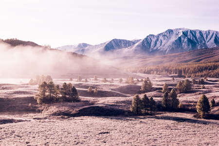 Fog in the mountain valley. Clouds of fog under the pink sky early in the morning, pastel colors. Sunrise in the valley.の写真素材