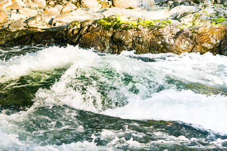 Fast mountain river in rapid flow in the green forest