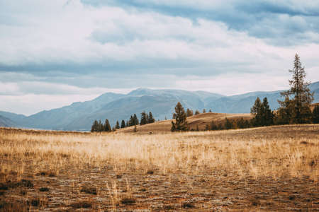 View of the mountain valley. The hills under a colorful sky.の写真素材