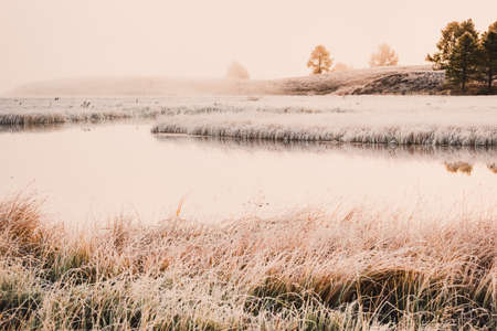 Early foggy morning on the shore of the lake mirror. Frost on the grass near the water.の写真素材