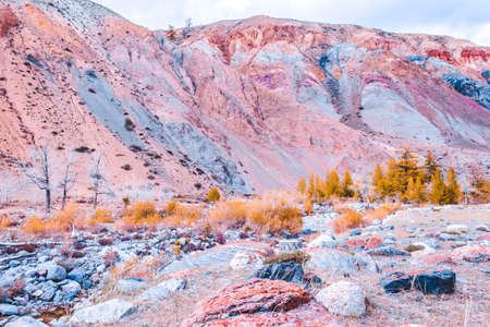 Colorful pink hills under the Sunny sky. Rocks and mountains of pastel colours.の写真素材
