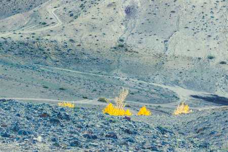 Beautiful gentle hills in soft tones. Autumn nature, travelling through the Altai.の写真素材