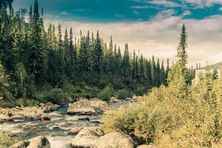 Fast mountain river in the rocks in the mountain valley