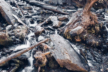 Mountain stream in the forest. Old trees and logs in the river with stone banksの写真素材