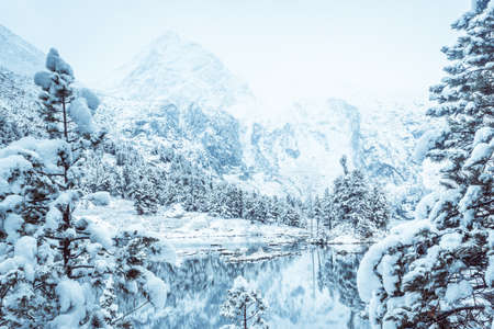 Mirror surface of the winter lake with a mountain range. First snow in the mountains. Travel to the national Park in the Altai mountains.の写真素材