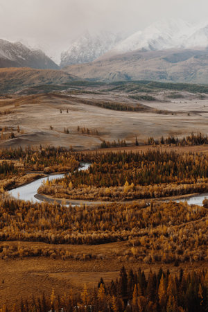 The curves of the ribbon of the river in a mountain valley. Beautiful view of the valley from above.の写真素材