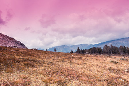 Colorful gentle hills in the cloudy sky.の写真素材