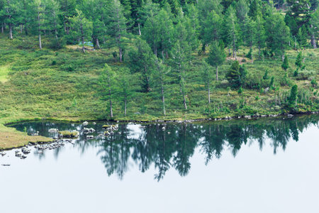 Mountain lake with stones and trees on the shore. Travelling in the mountains.